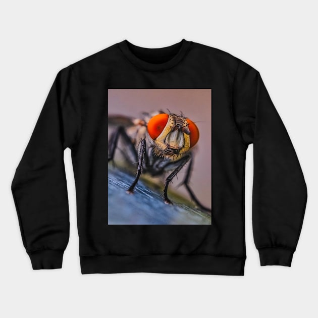 Flesh Fly Macro Insect Photograph Crewneck Sweatshirt by love-fi